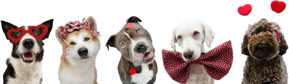 Reactividad jerárquica2