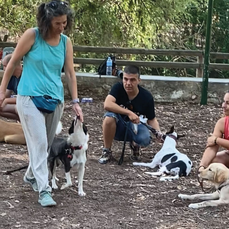 CURSO DE EDUCACIÓN Y SOCIALIZACIÓN​.