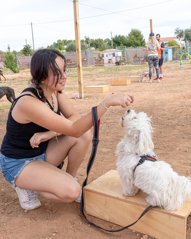 image00042 image00042