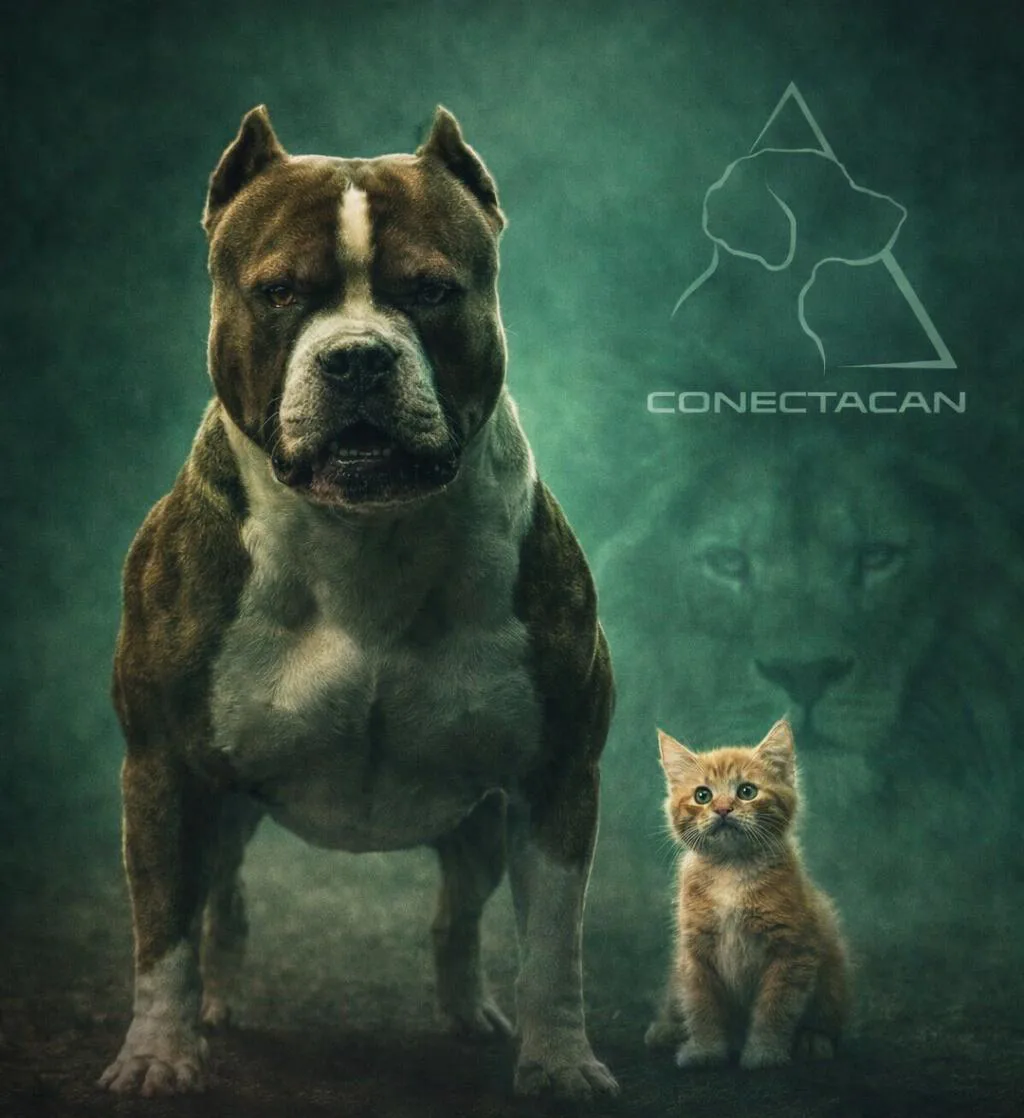 Un buen educador no convierte un león en un gatito