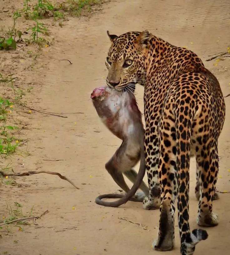 La naturaleza no es un cuento