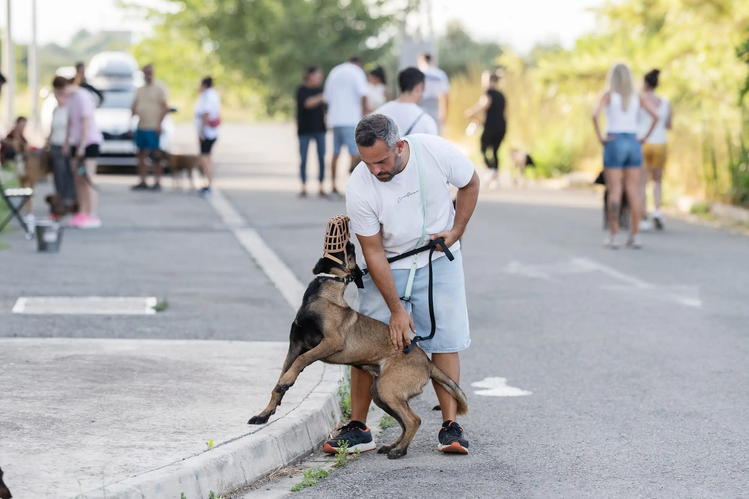 Tutor poniendo límites a su perro durante un paseo con correa